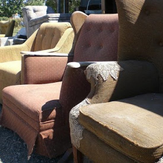 1581652662_40aa61e312-1