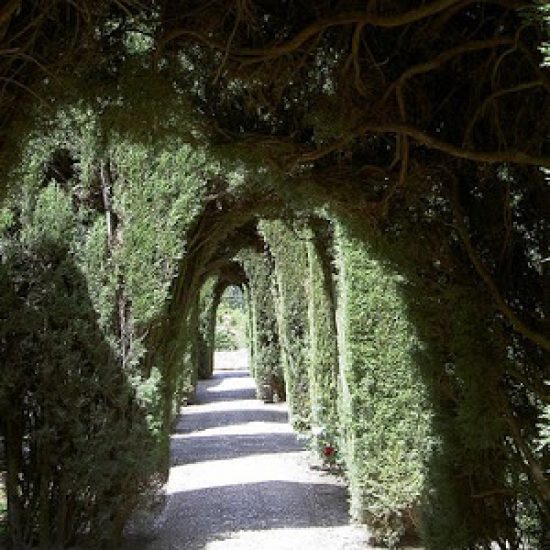 3938524416_8b08a57e85-1