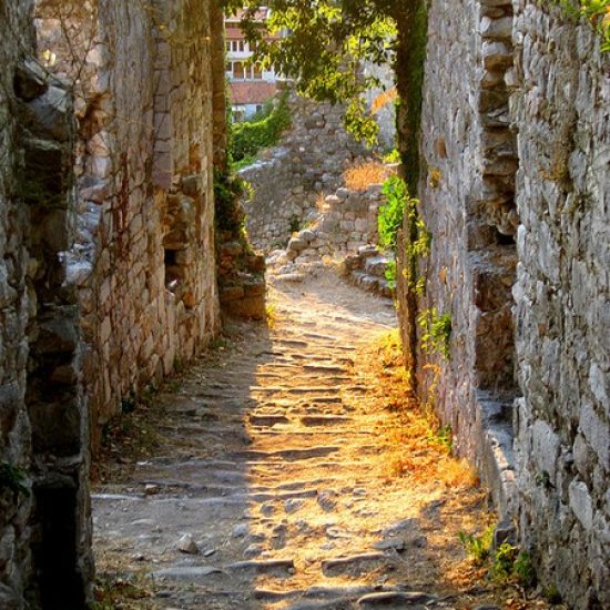 183310647302338485_JZvNsBg3_f-1