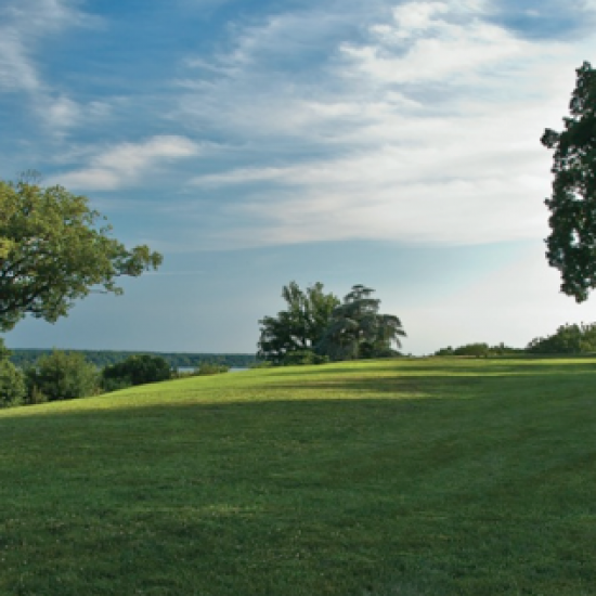 Screen-Shot-2013-03-03-at-2.03.46-PM-1