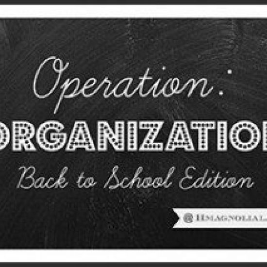 Operation-Organization-BTS-300x213-1