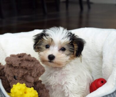 0257395c04b377f00f8dba5a43ac0b8c-1