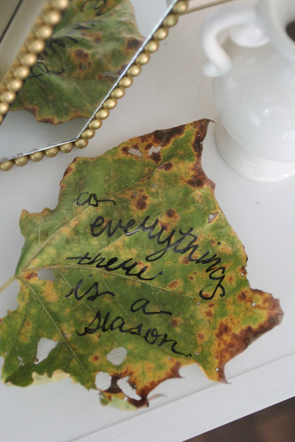 lettered-fall-leaf-mirror