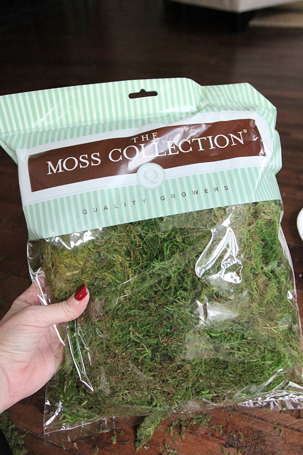 moss-bag-craft-sm