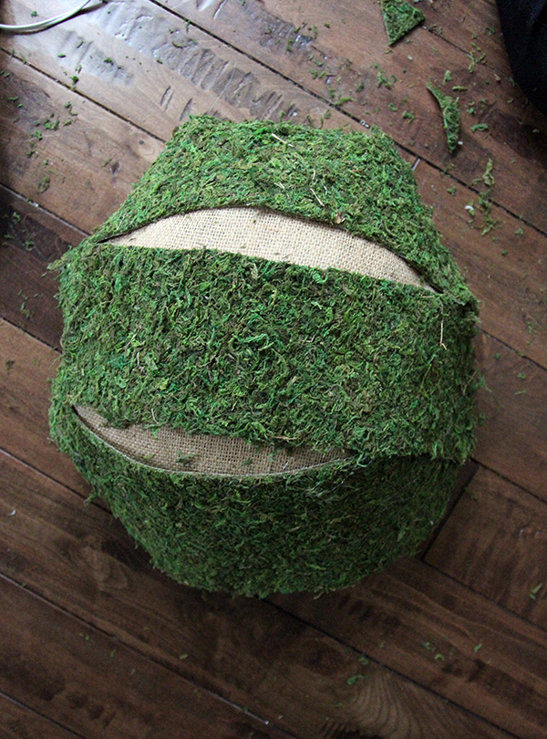 moss-strips-cover-form-sm