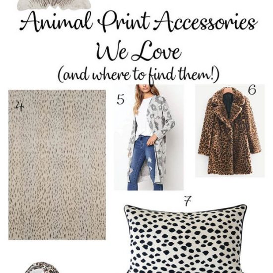 Animal-Print-Accessories-sm